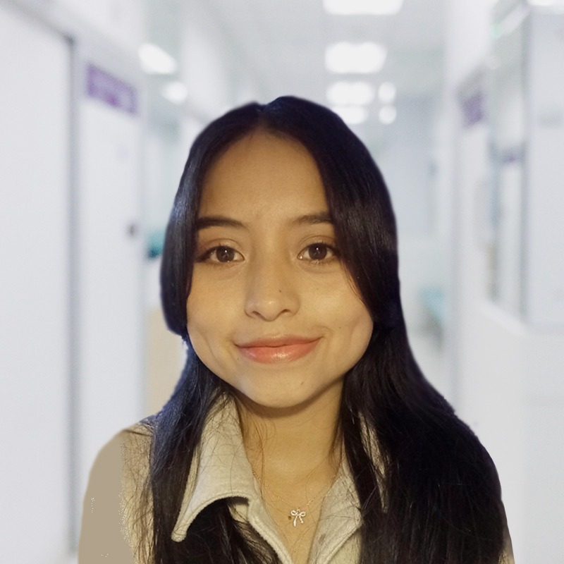 Psic (c). Erika Lizbeth Guailas Díaz